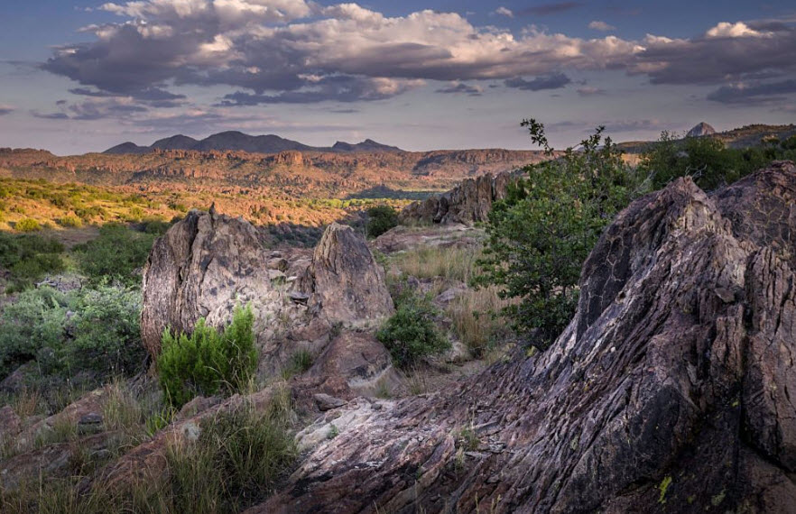 Chihuahuan Desert Research Institute, United States